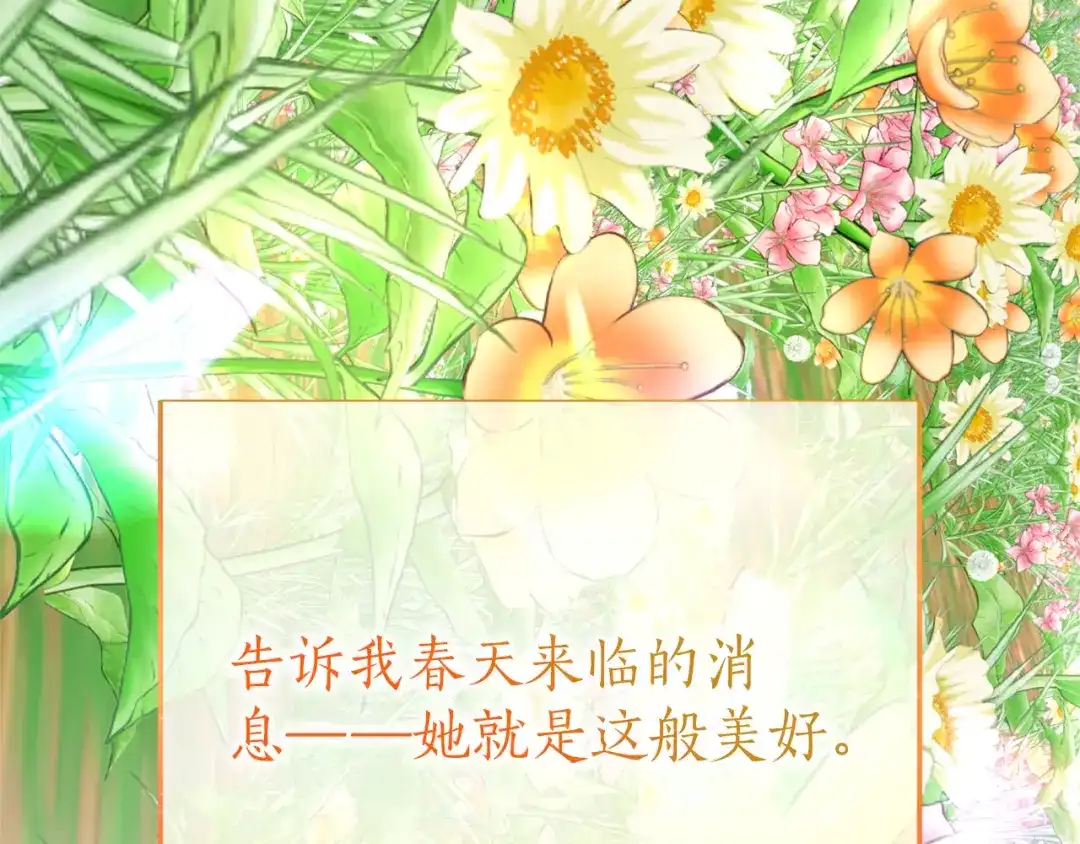 第213页