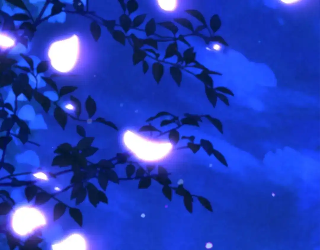 第233页