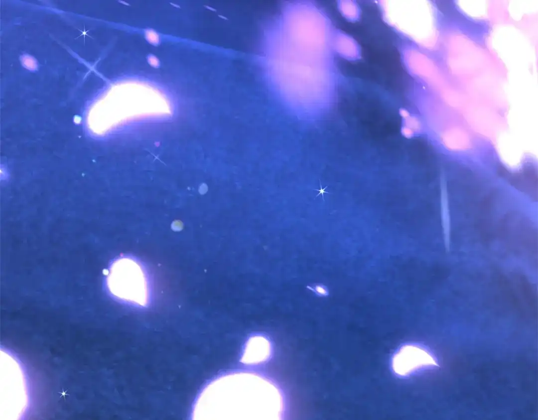第237页