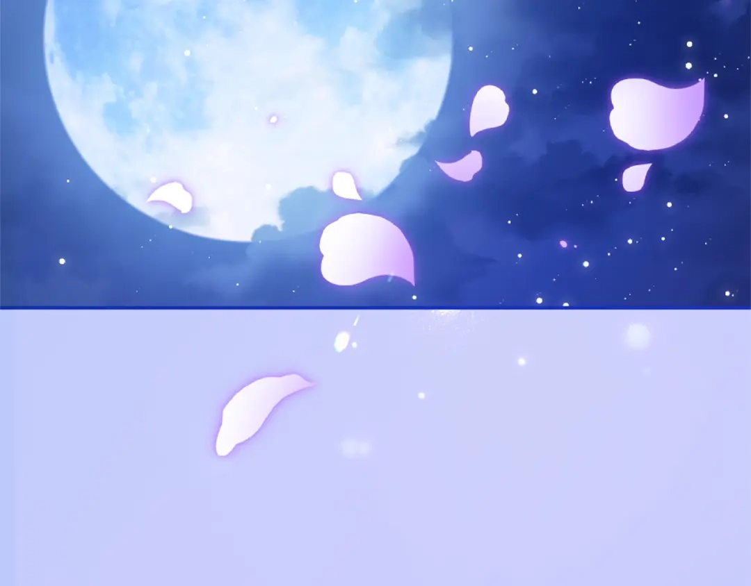 第241页