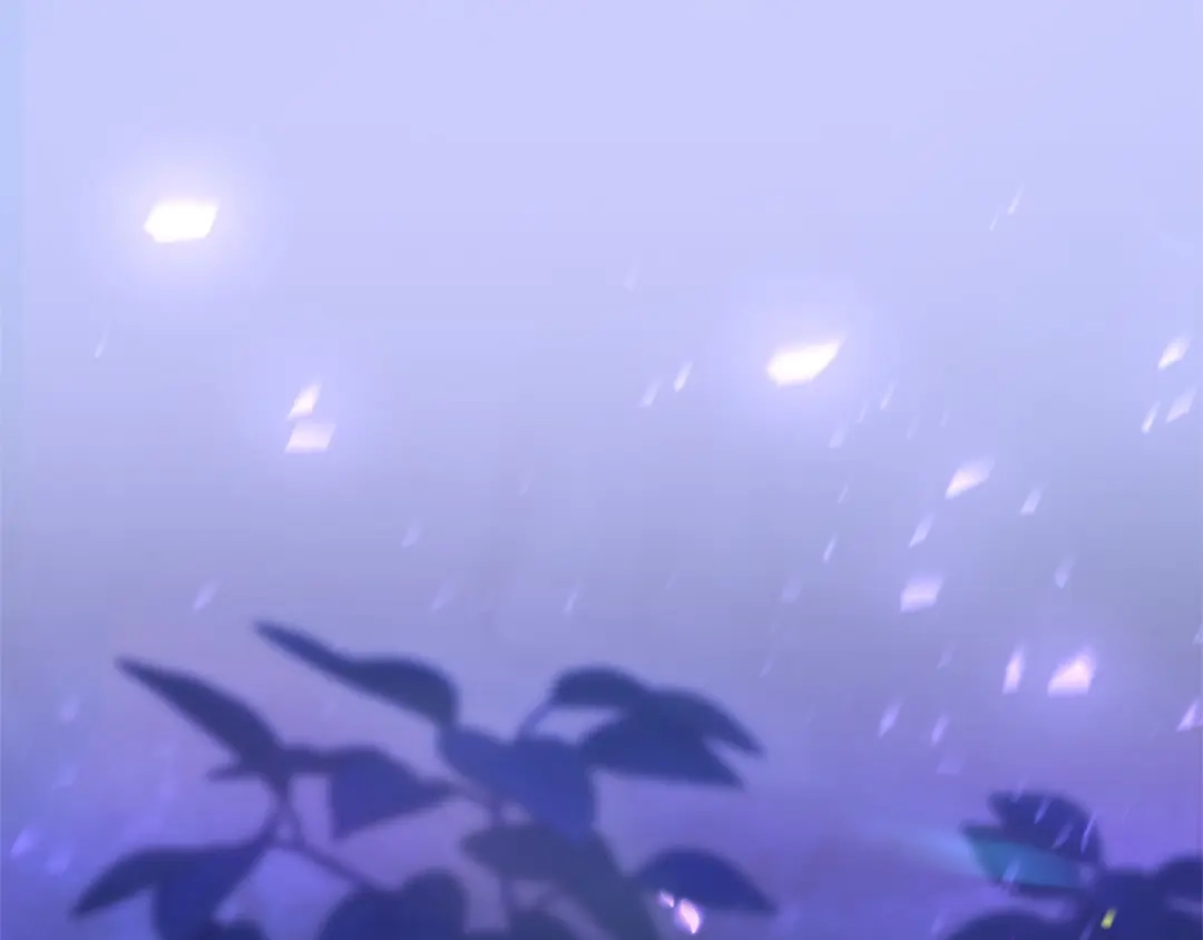第242页