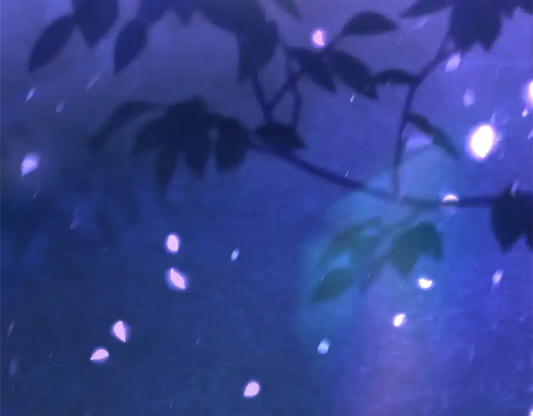 第243页