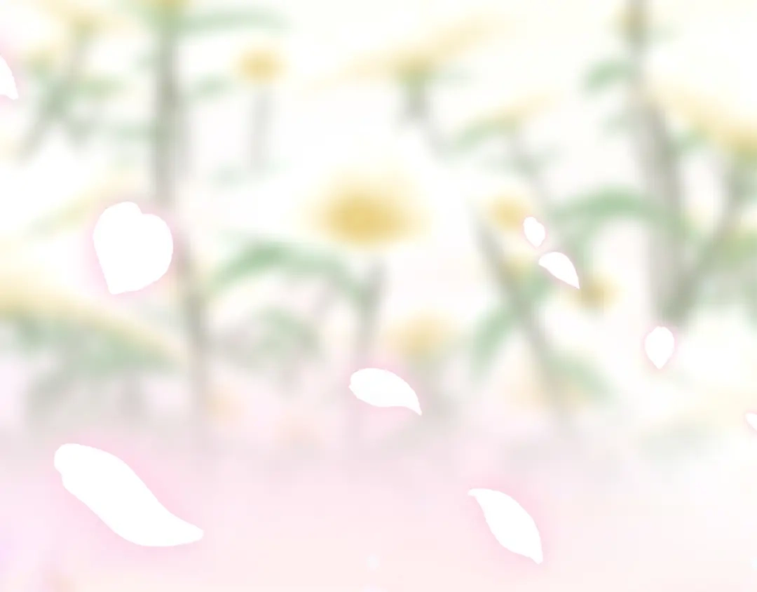 第252页