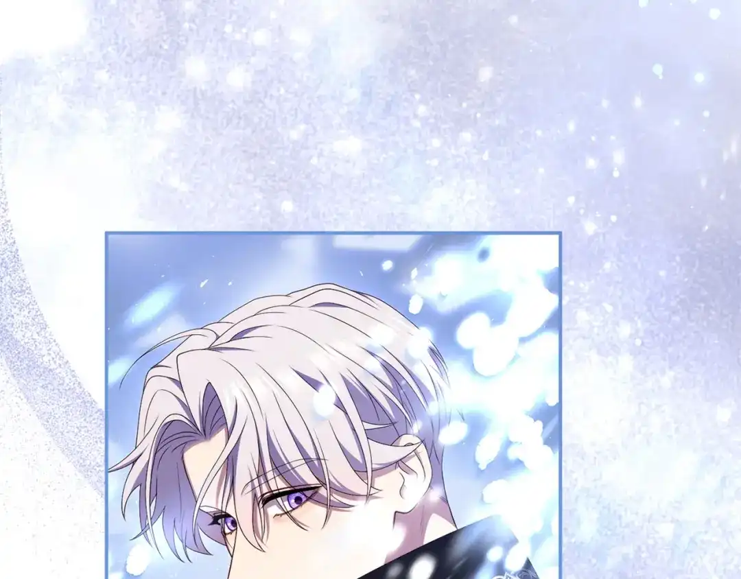第223页