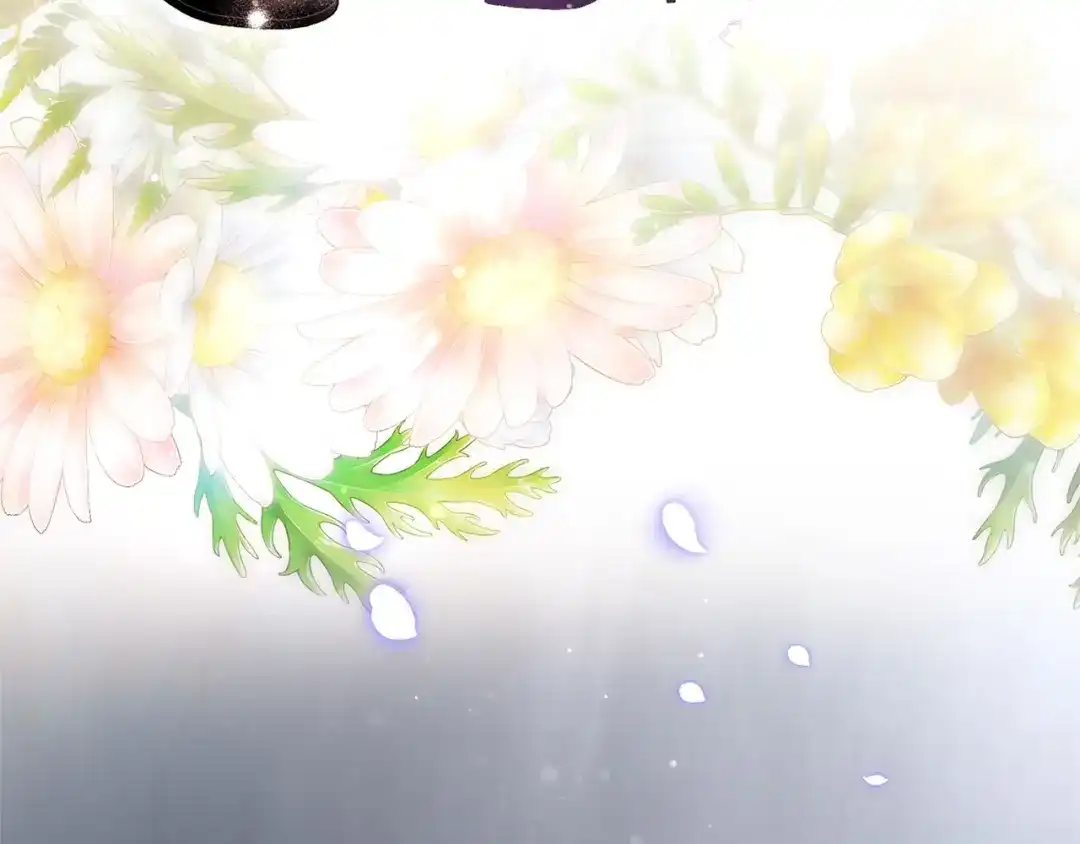 第232页