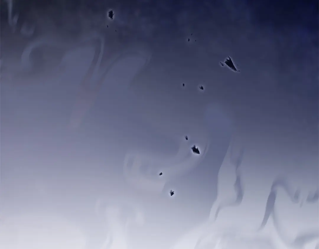 第223页