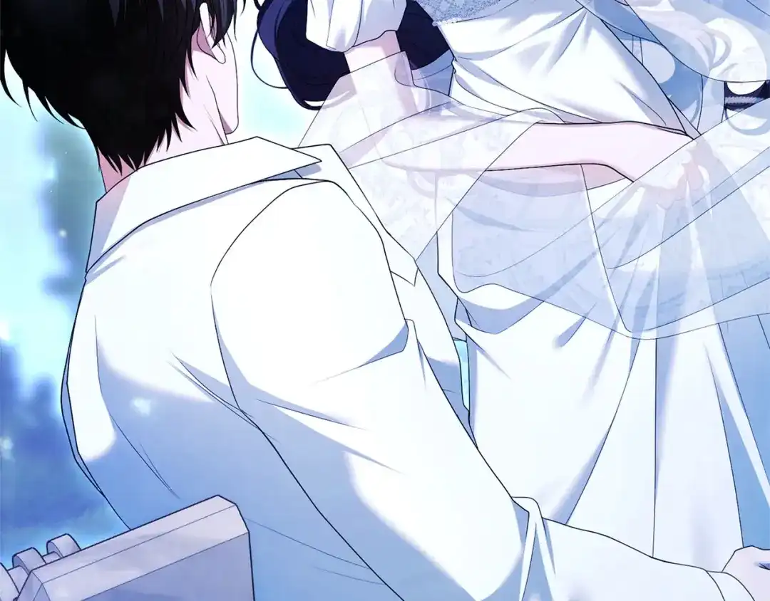 第239页