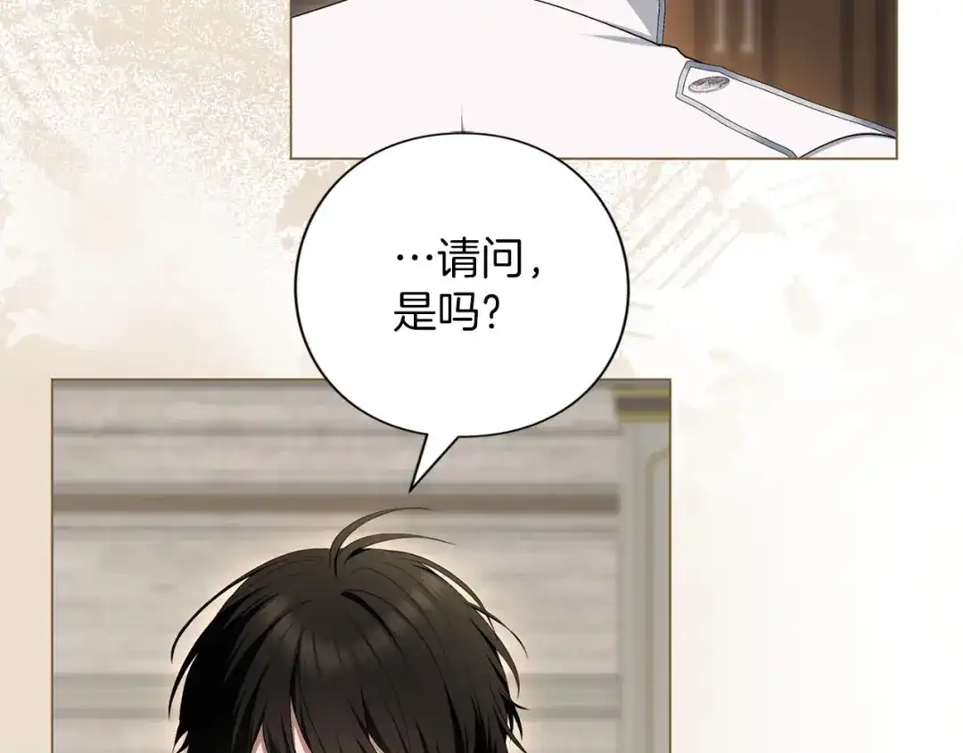 第239页