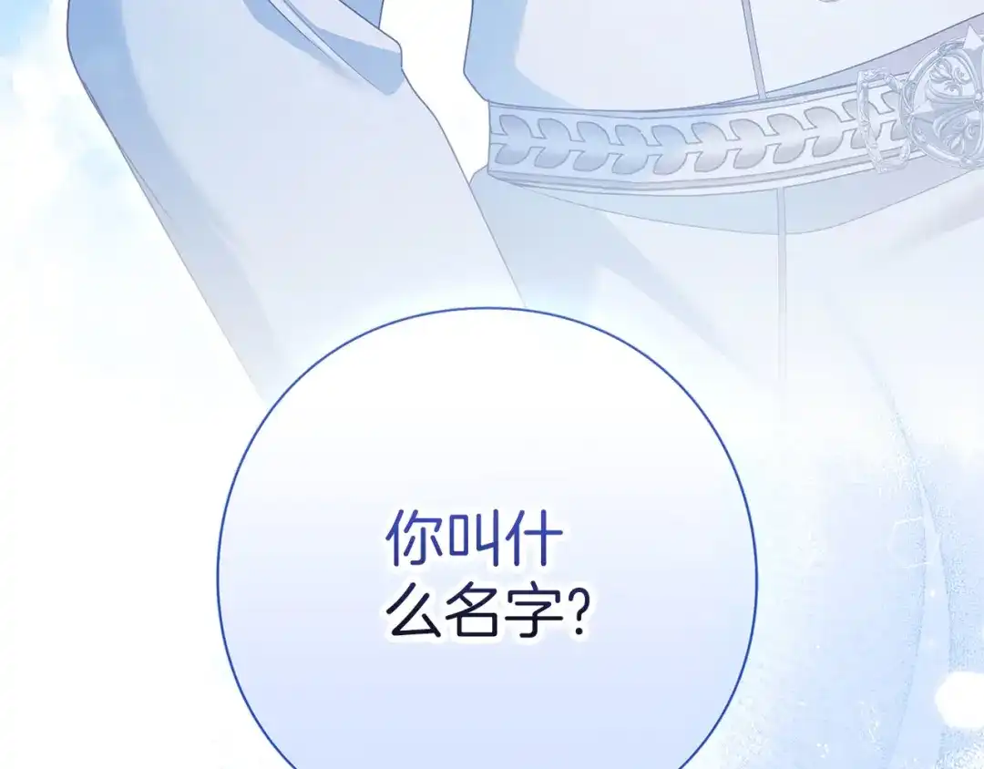 第246页