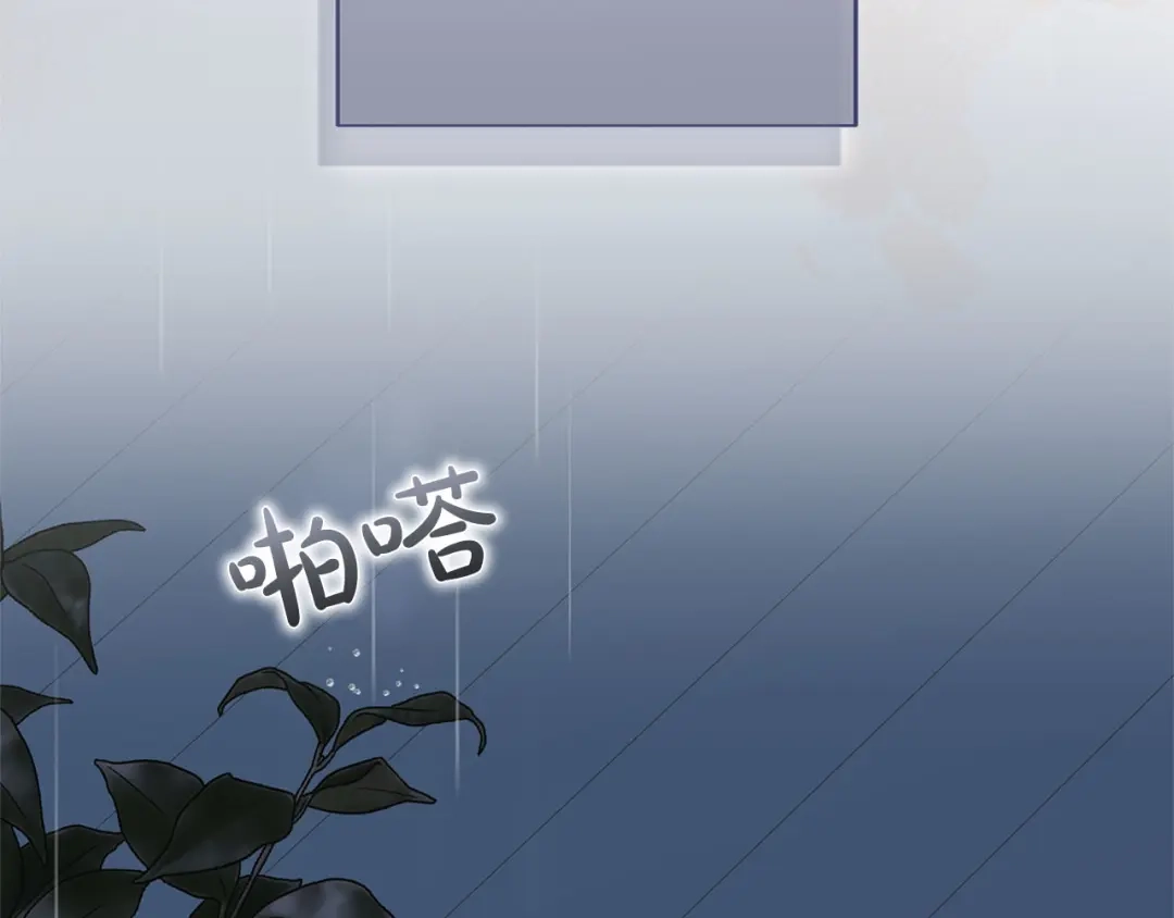 第205页