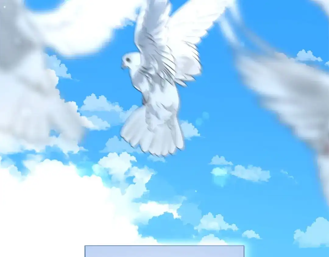 第234页