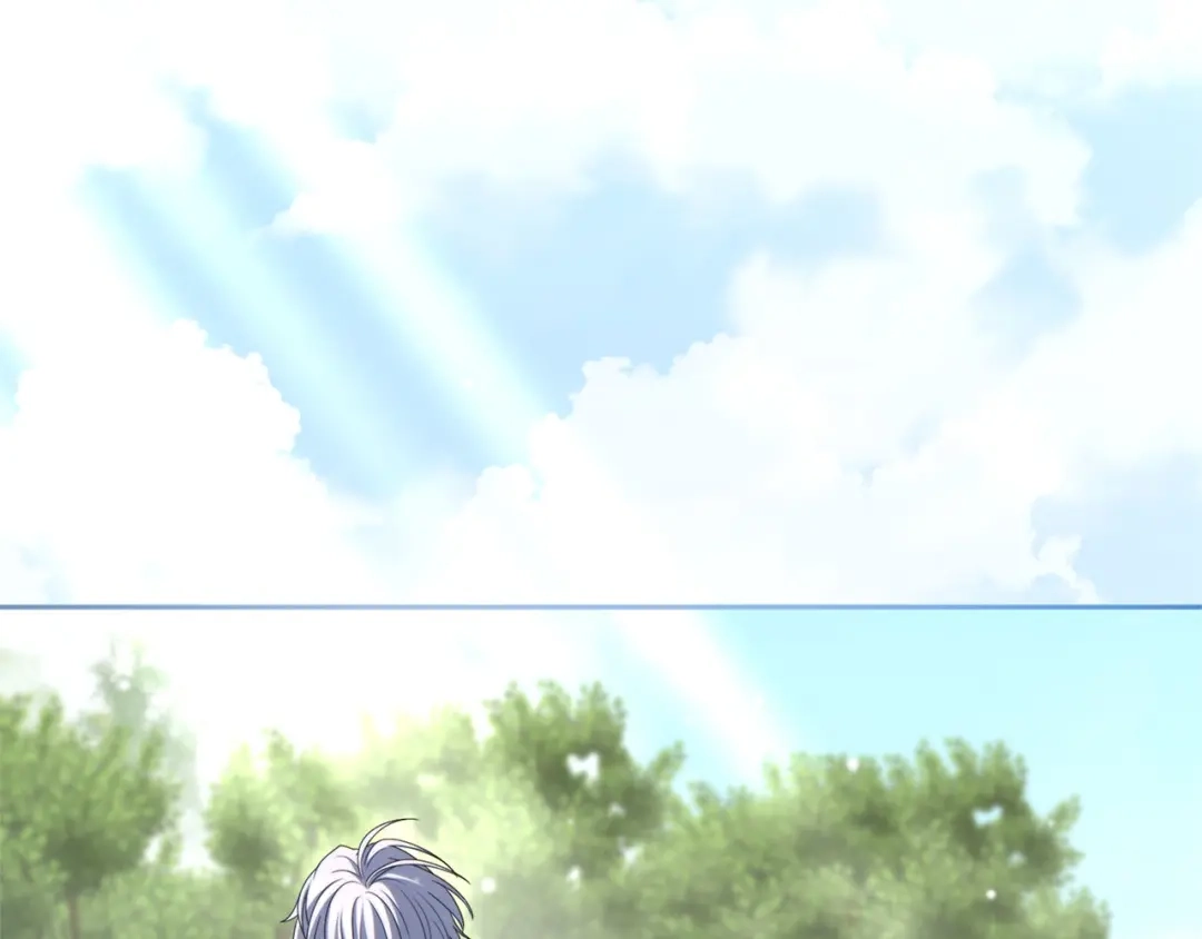 第242页