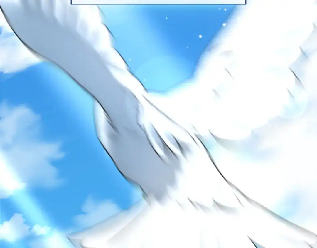 第246页