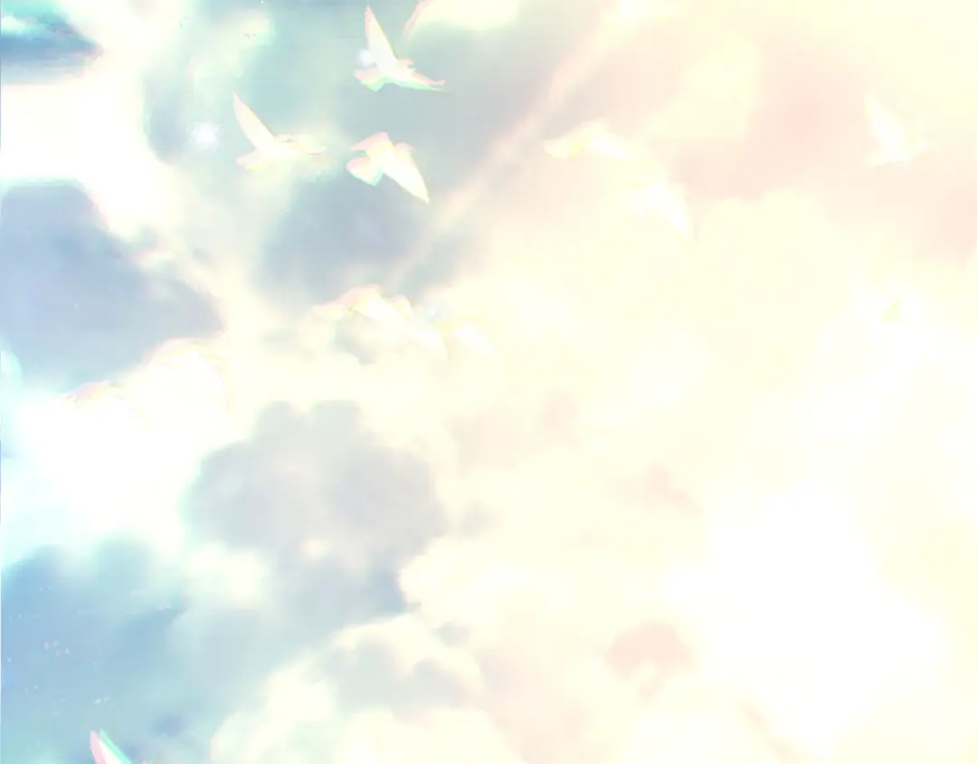 第257页