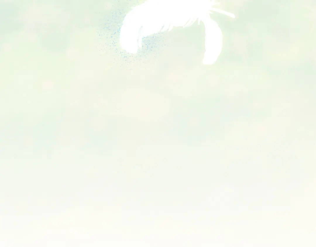 第916页