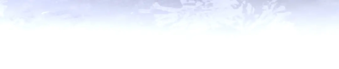 第377页
