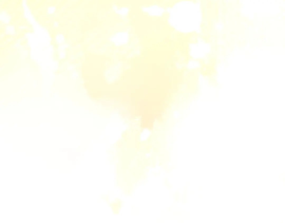第409页