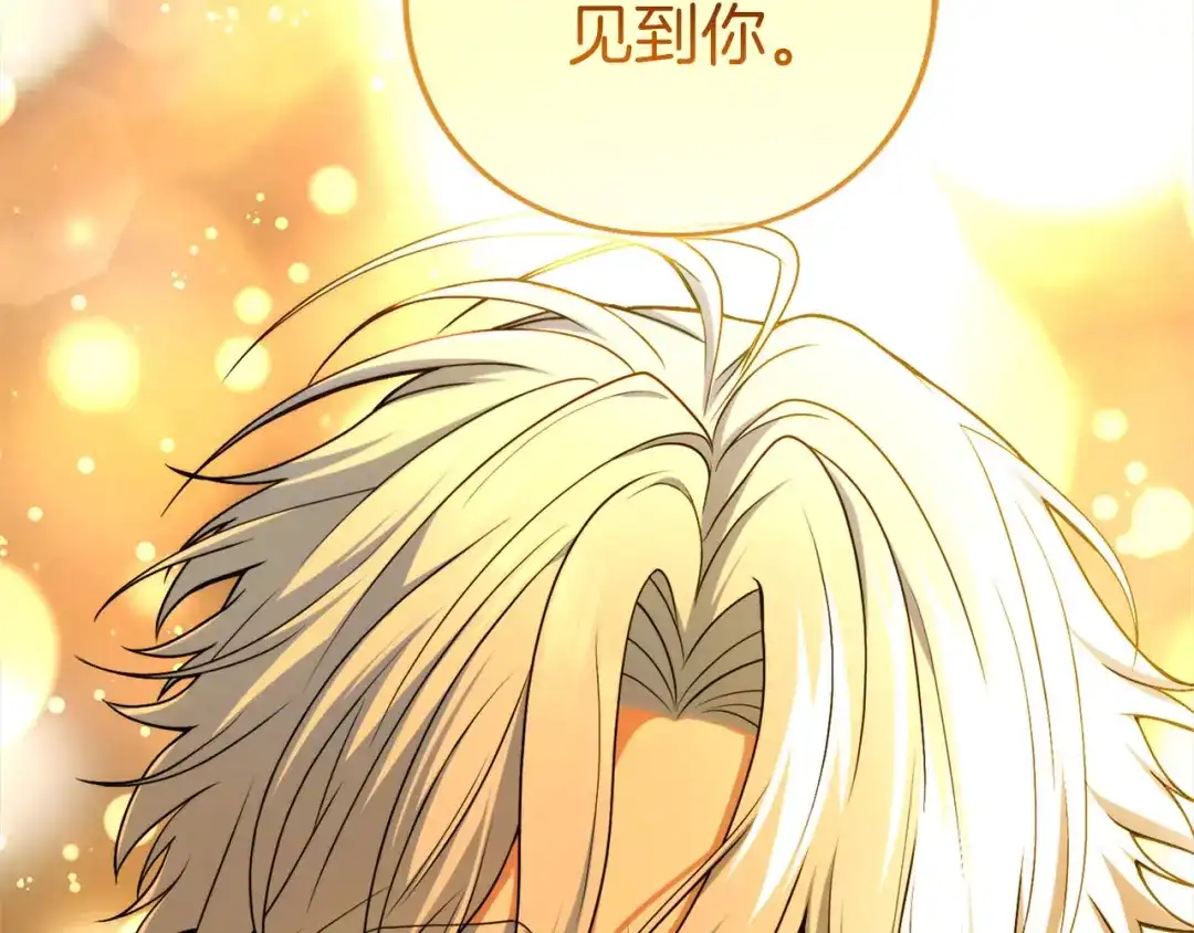 第542页