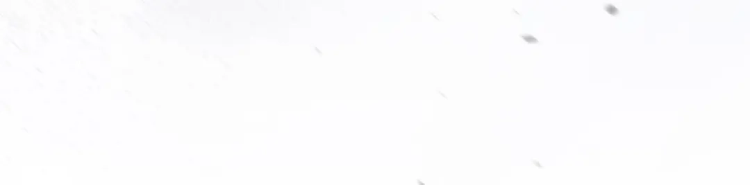第426页