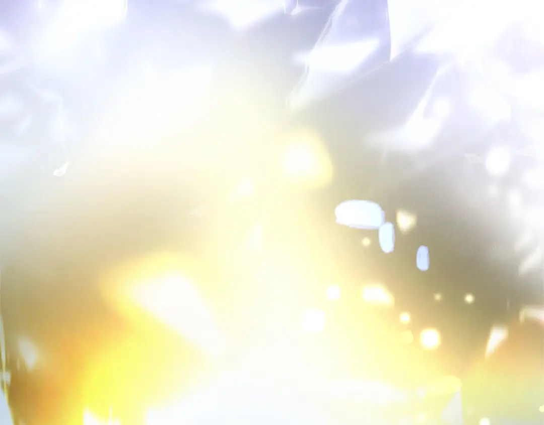 第216页