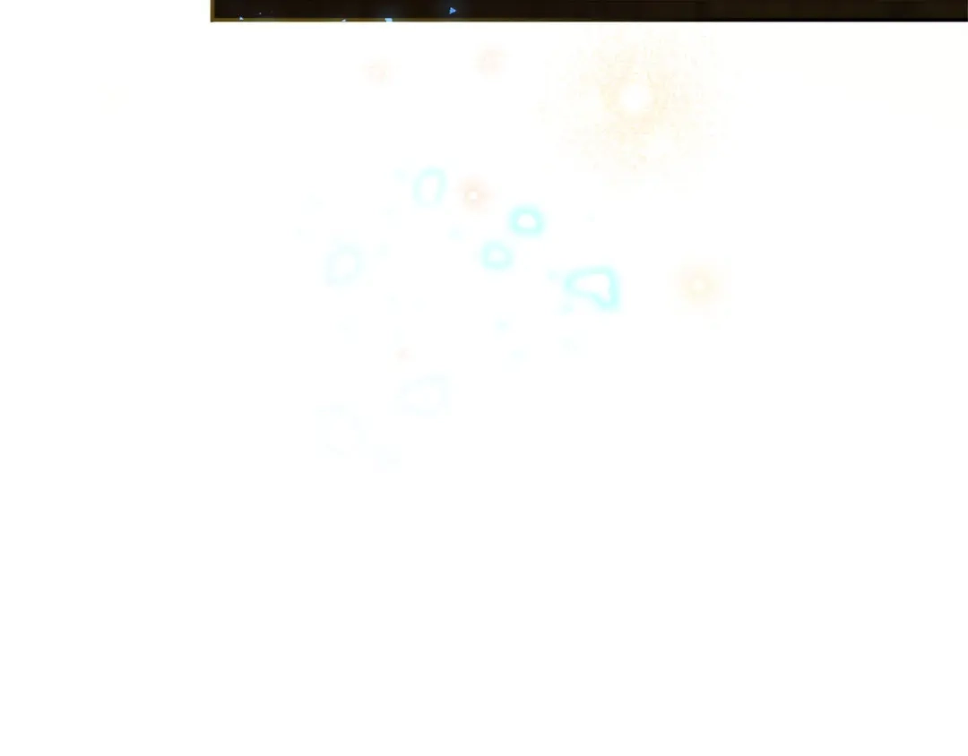 第243页