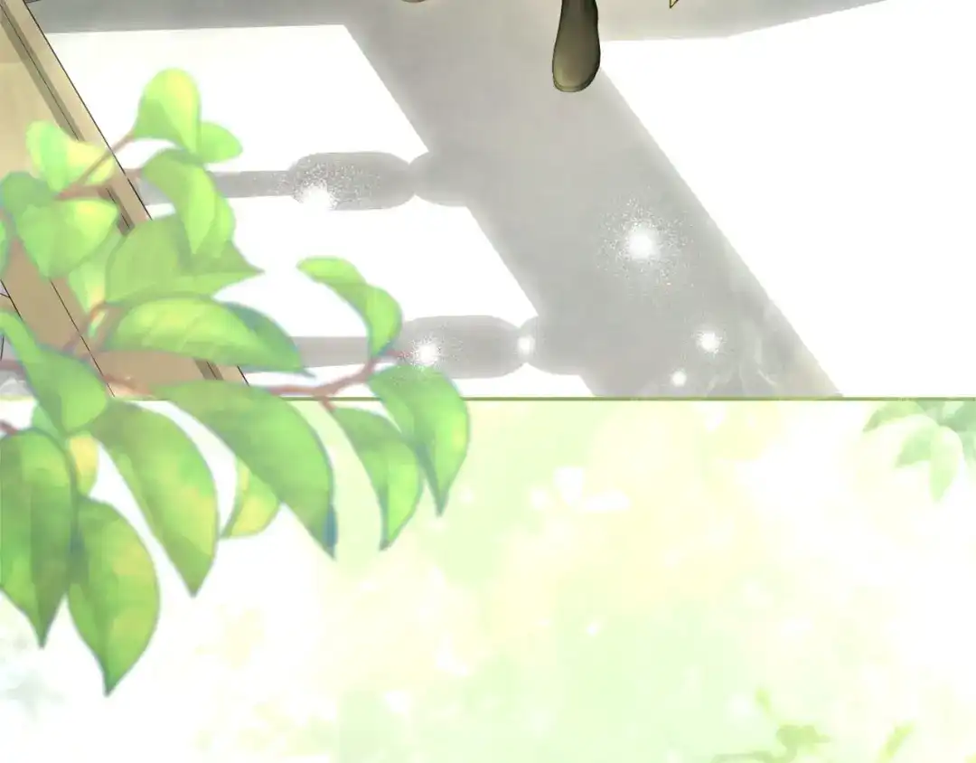 第264页