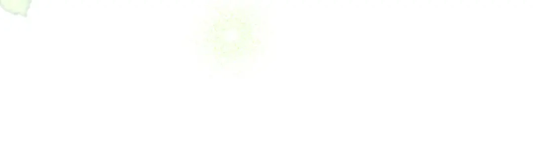 第245页