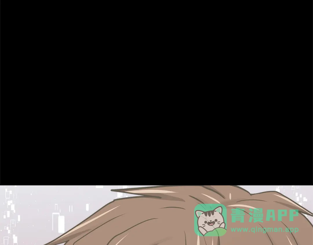 第221页