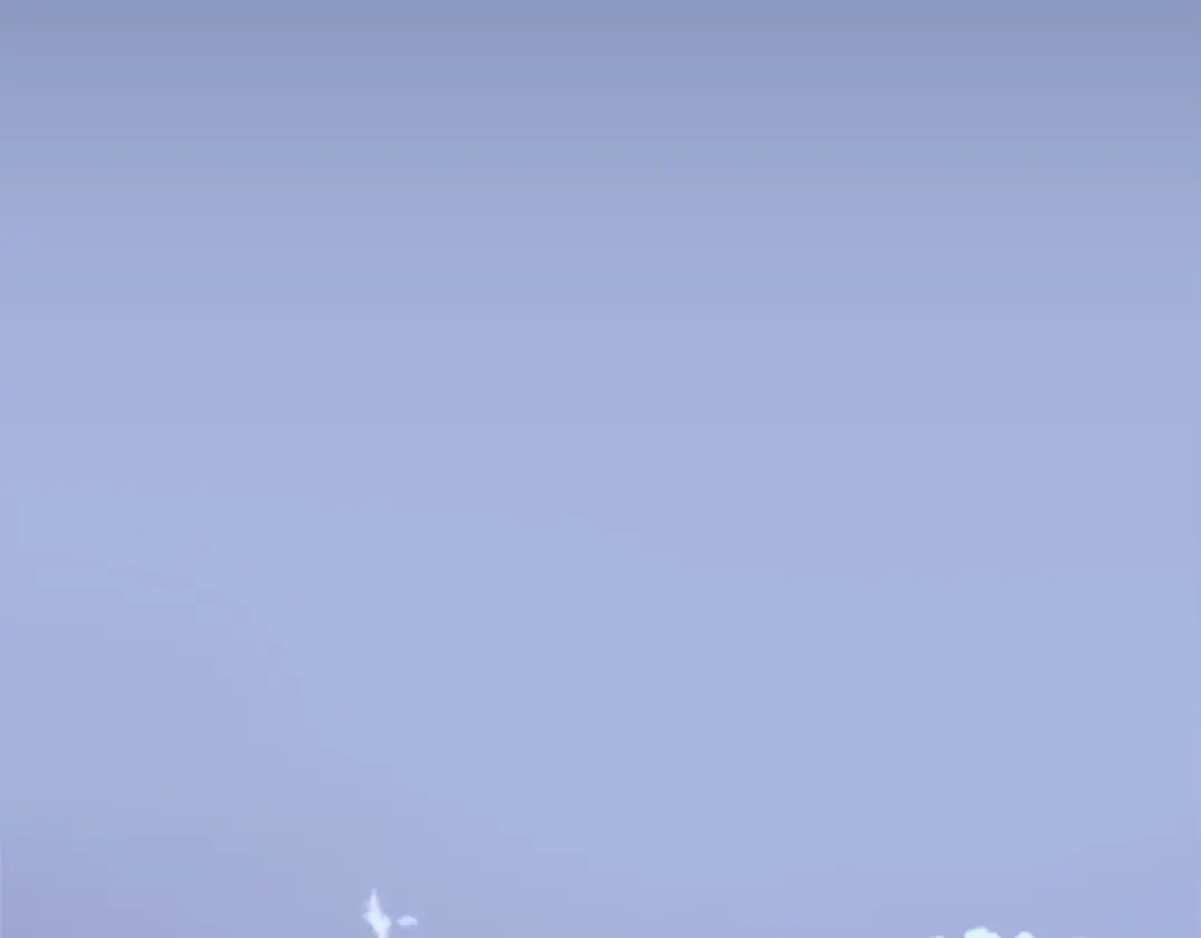 第194页