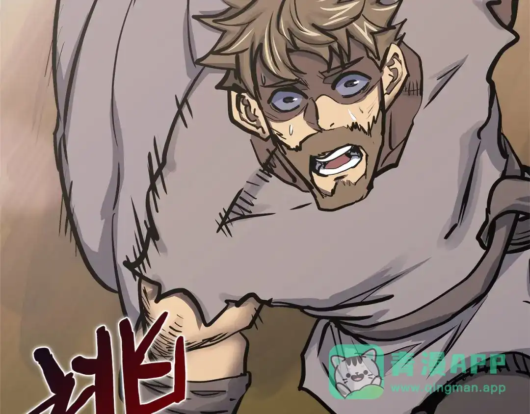 第231页