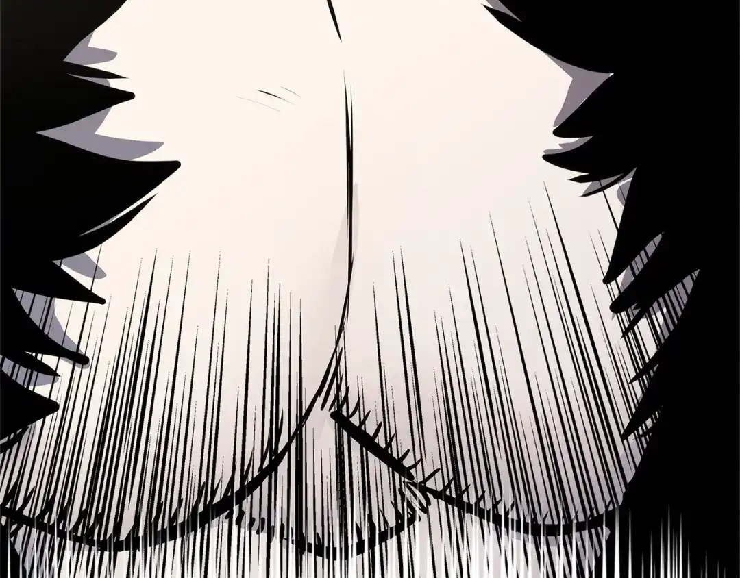 第215页