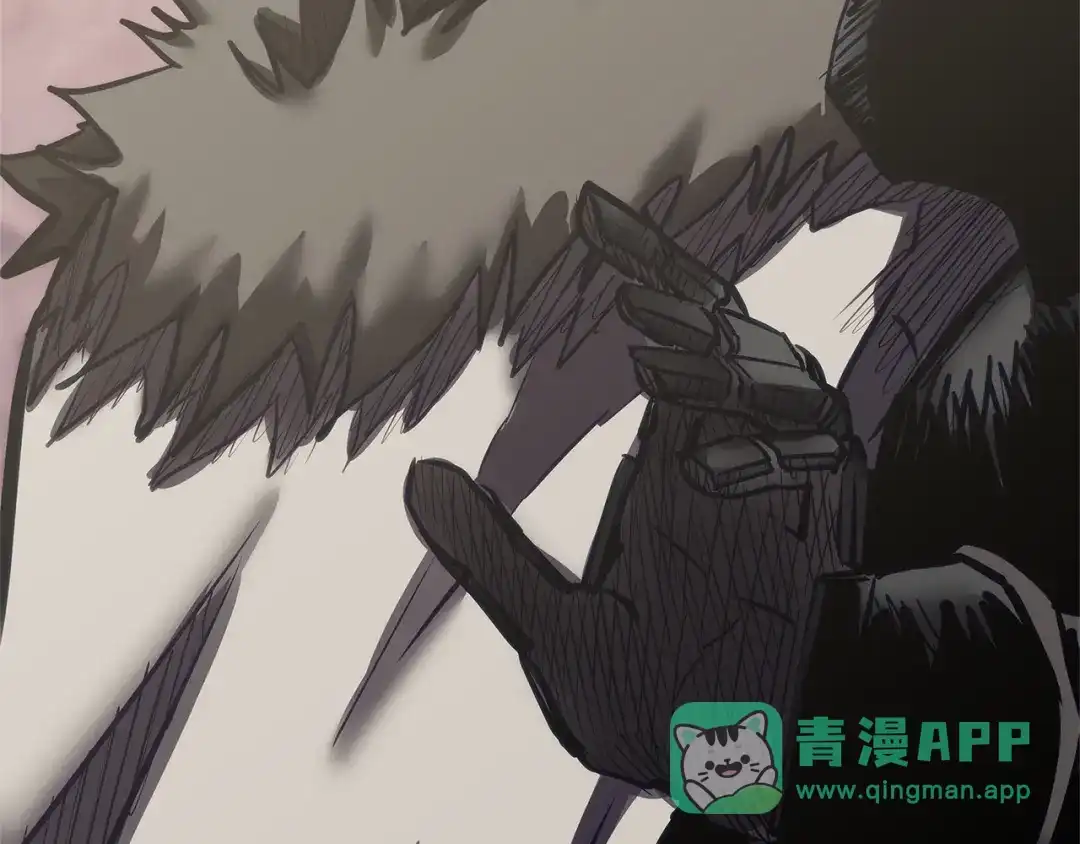 第216页