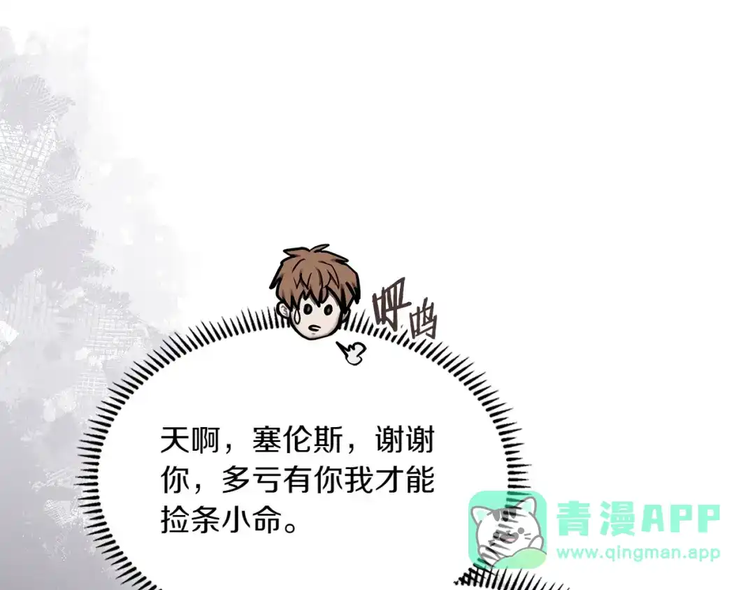 第246页
