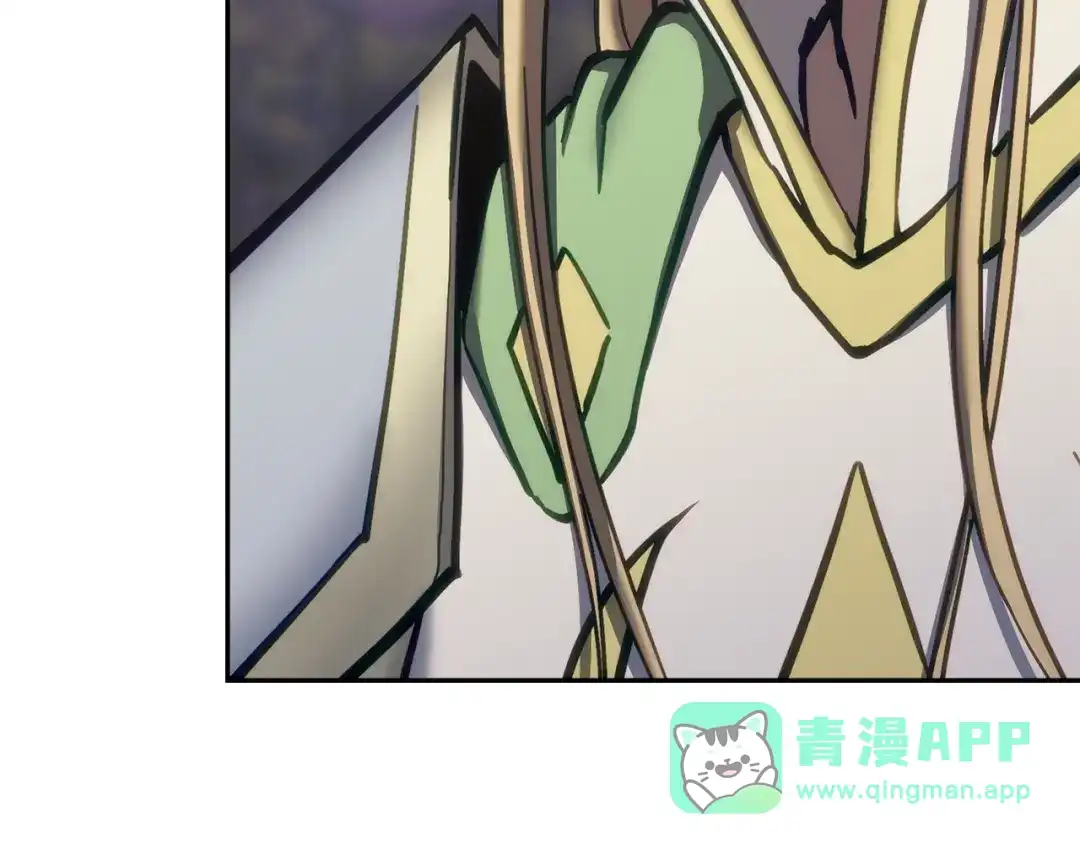 第216页