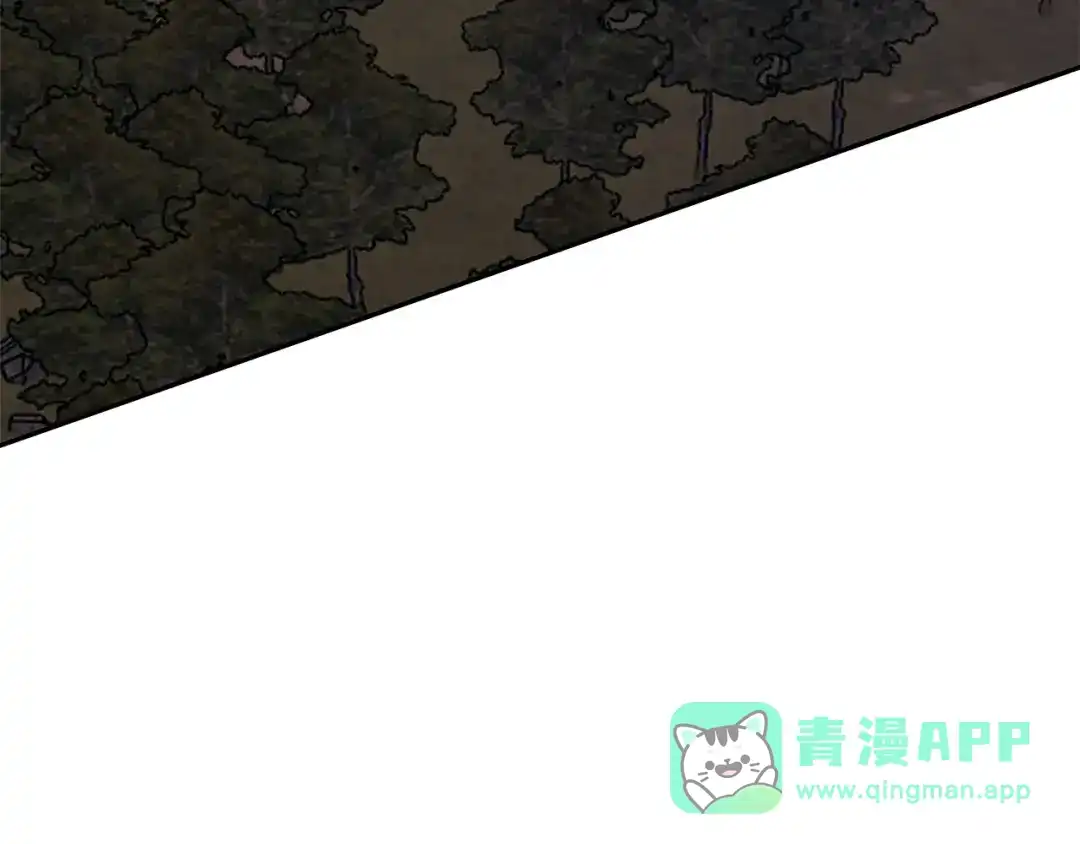第206页