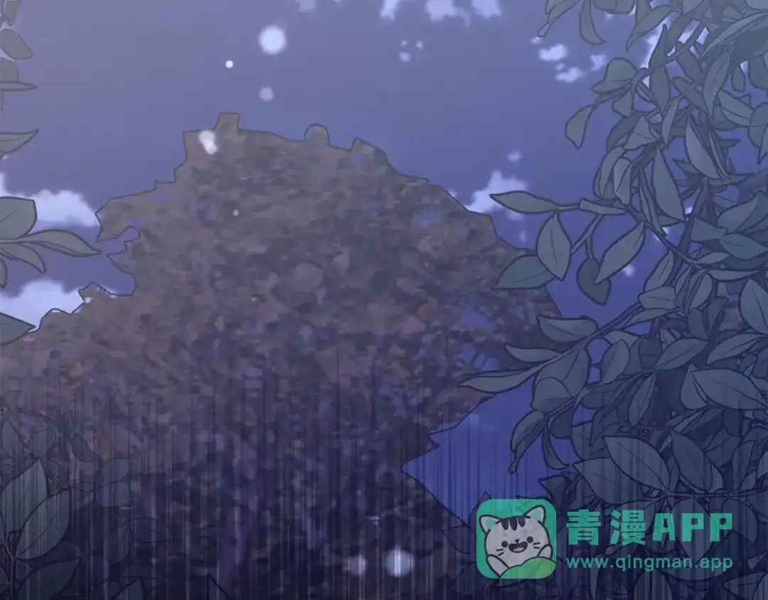 第256页