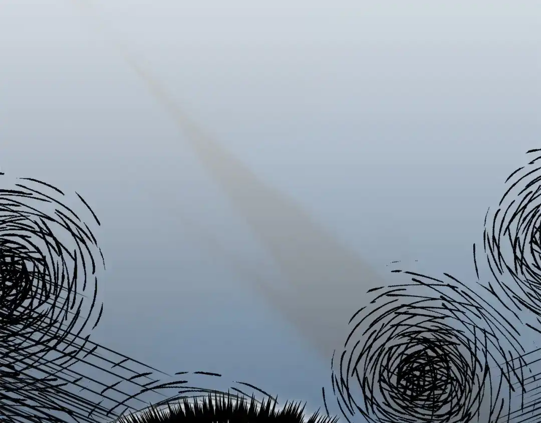 第205页