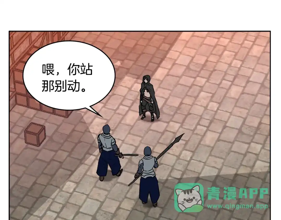 第101页
