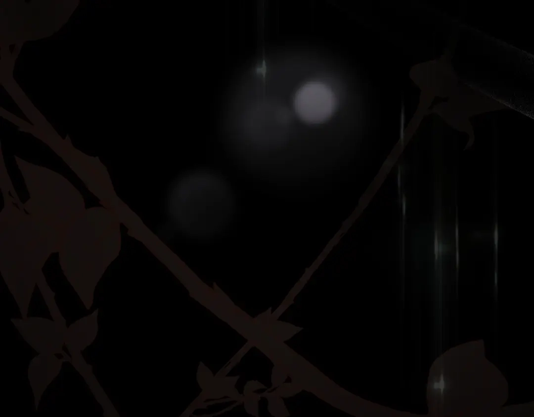第185页