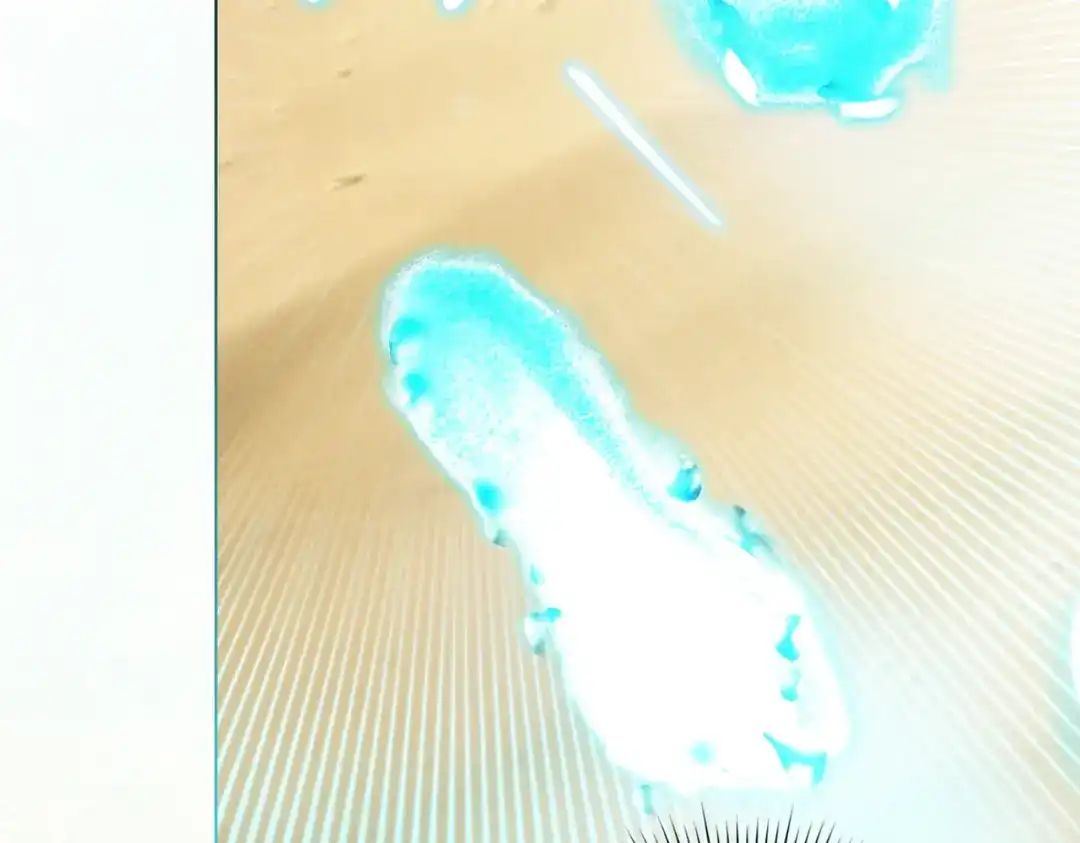 第138页