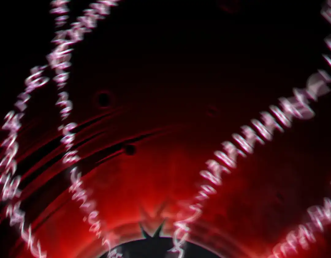 第209页