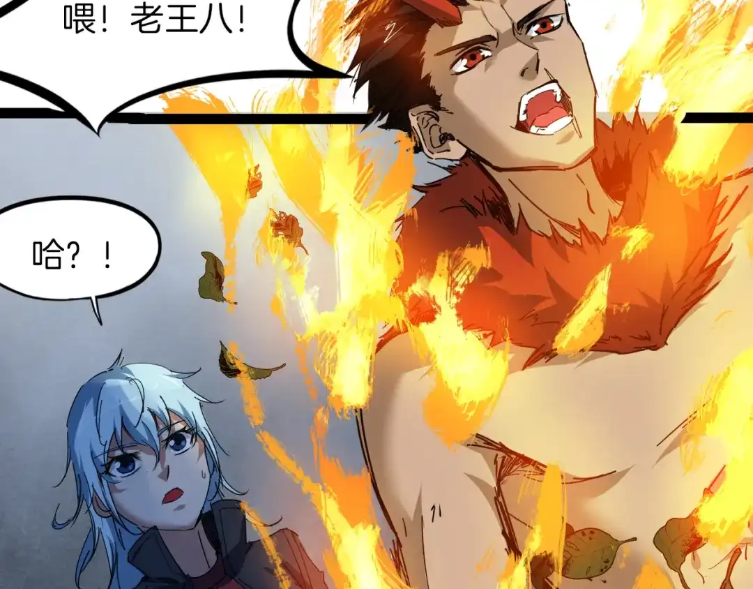 第231页