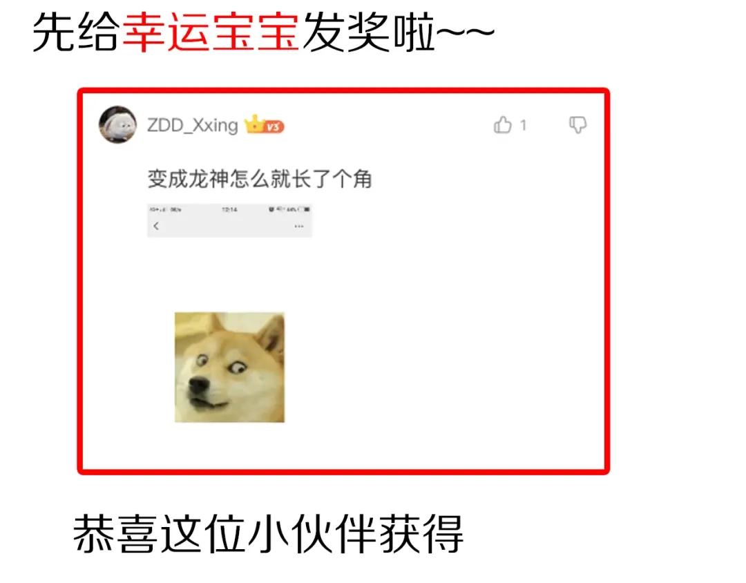 第249页