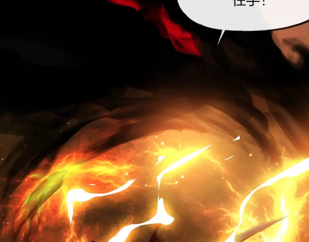 第223页