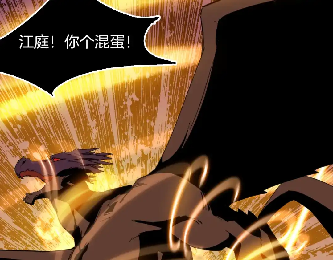第223页