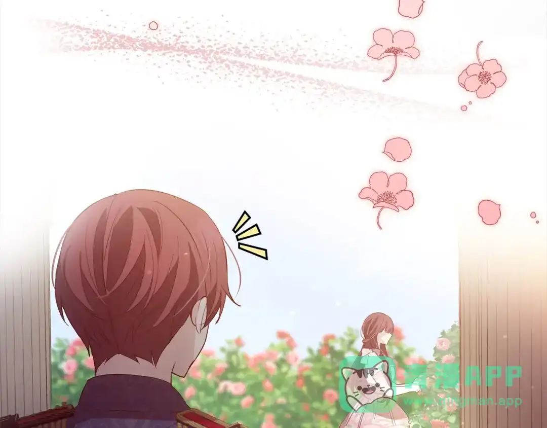 第196页