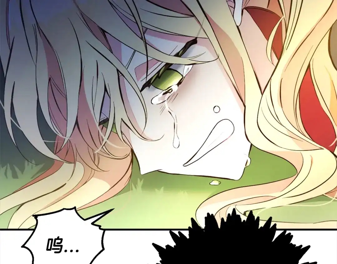 第204页
