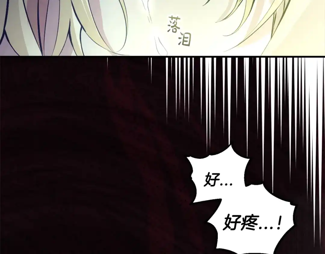 第207页