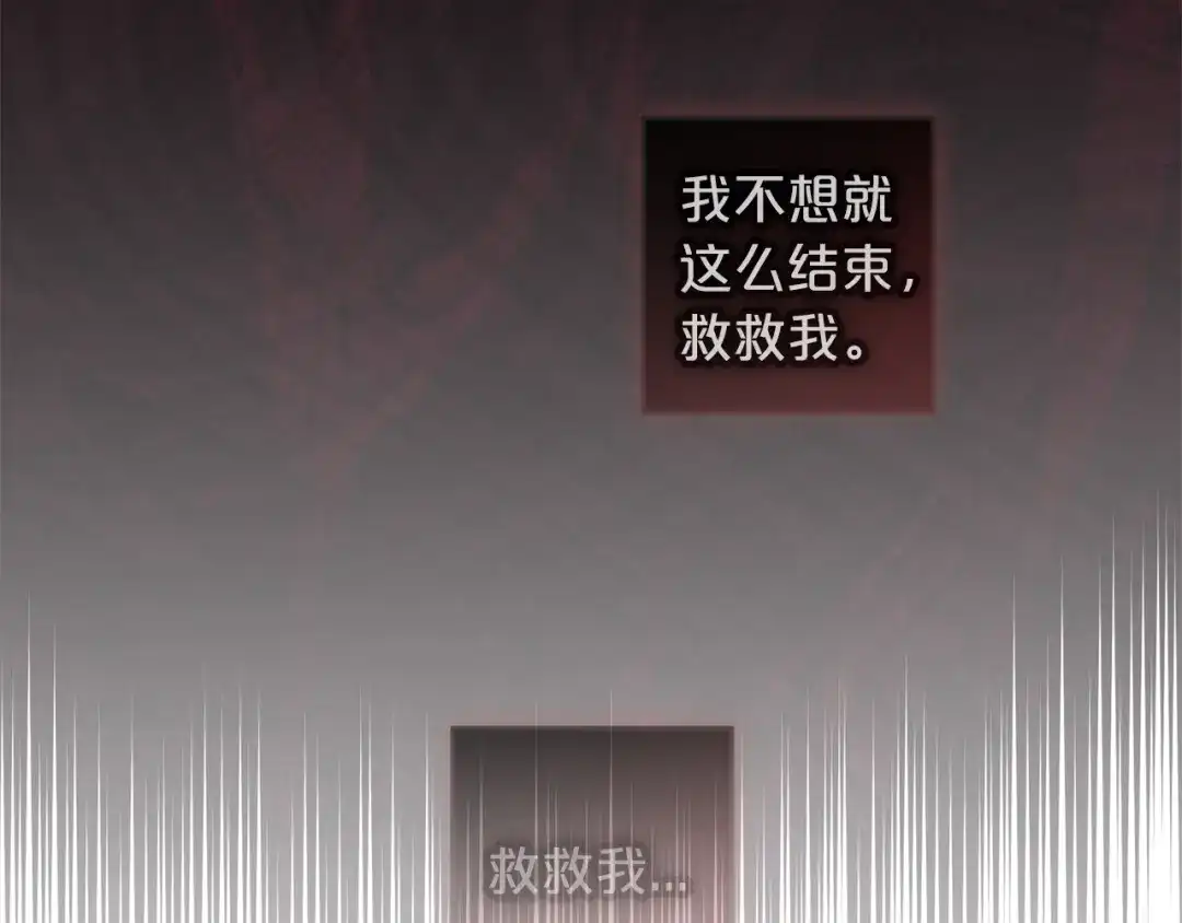 第215页
