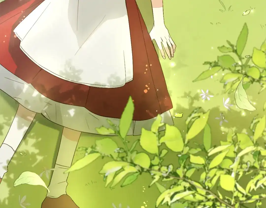 第224页